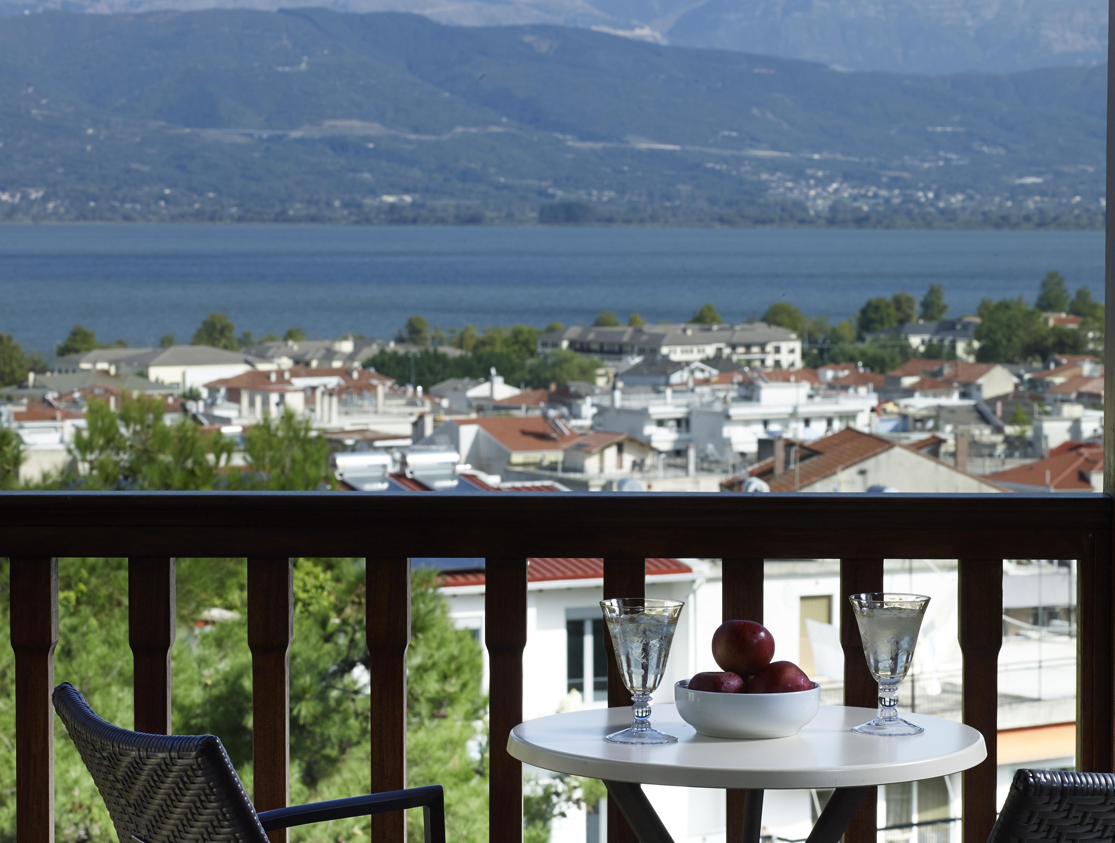 Grand Serai Congress And Spa Ioannina Eksteriør billede View of Nea Agia